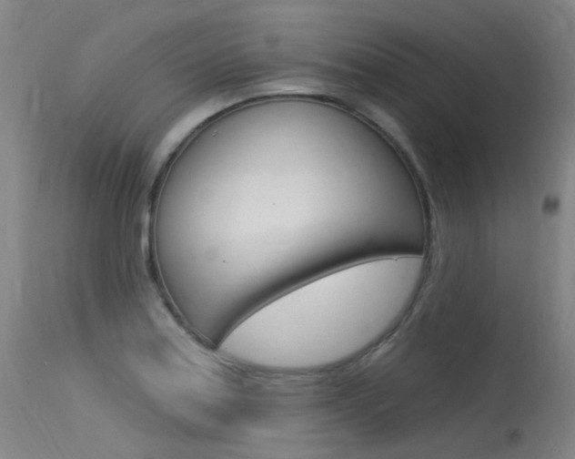 X0000115531179200911061120