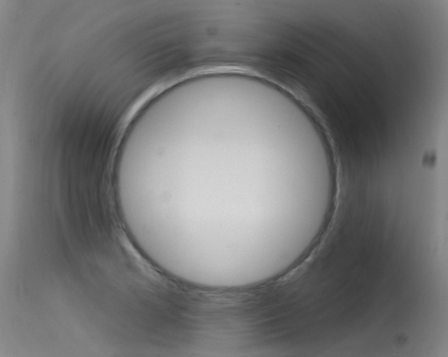 X0000115531181200911061120