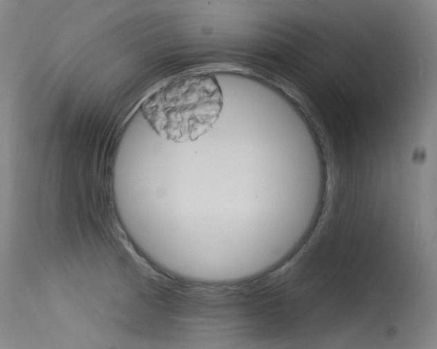 X0000115531185200911061120