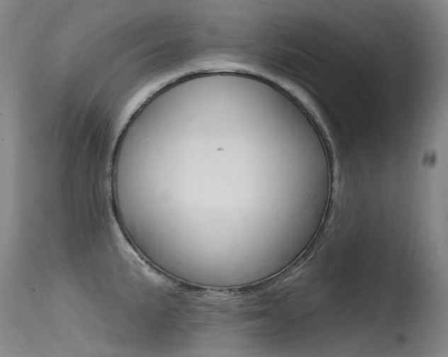 X0000115531191200911061120