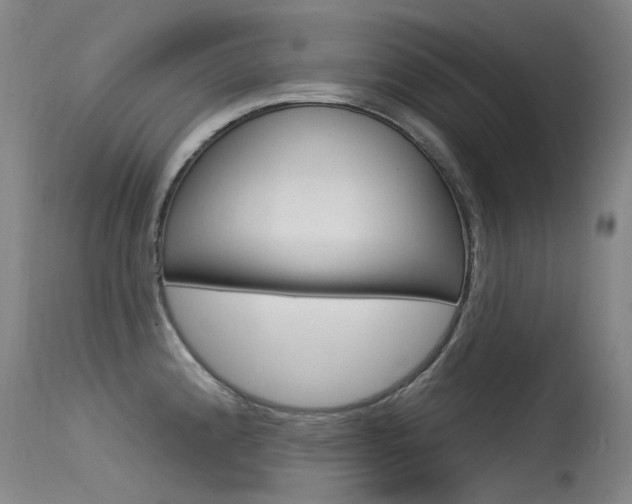 X0000115531192200911061120