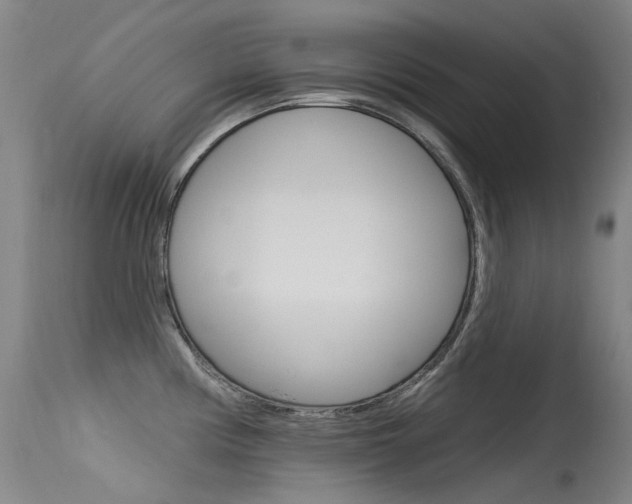 X0000115531194200911061120