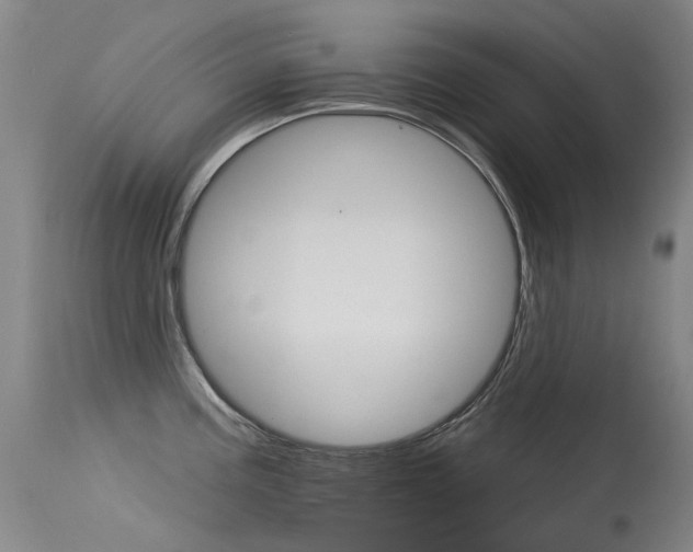 X0000115531195200911061120