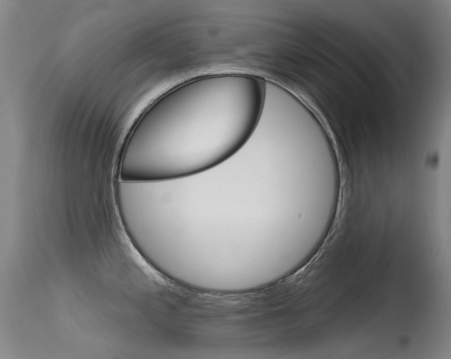X0000115531197200911061120