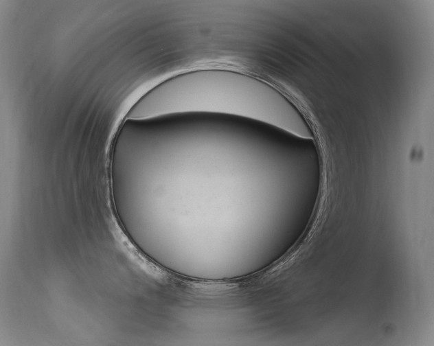 X0000115531200200911061120