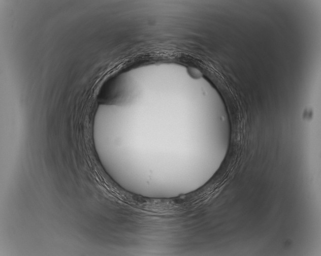 X0000115531201200911061119