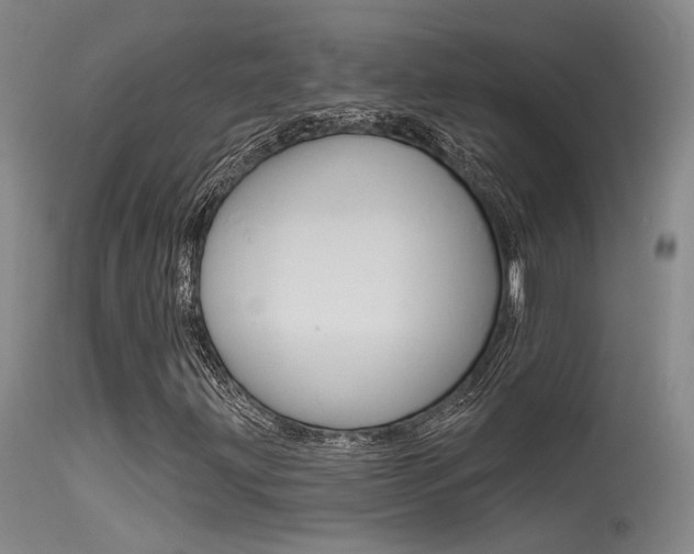 X0000115531203200911061119
