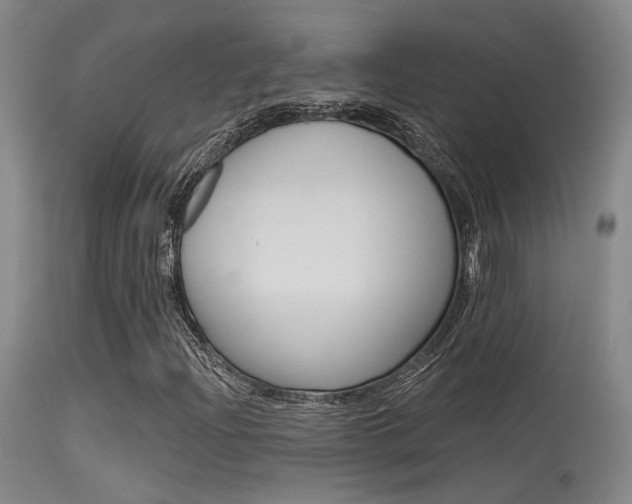 X0000115531204200911061119