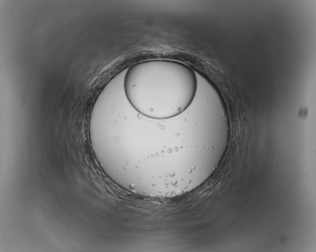X0000115531205200911061119
