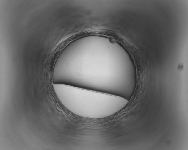 X0000115531206200911061119