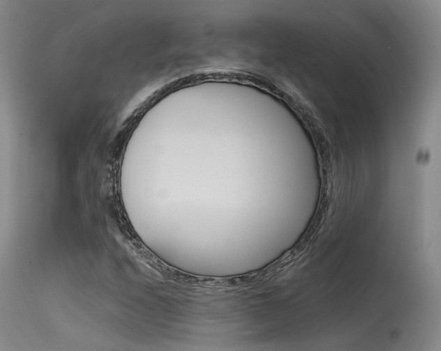 X0000115531208200911061119