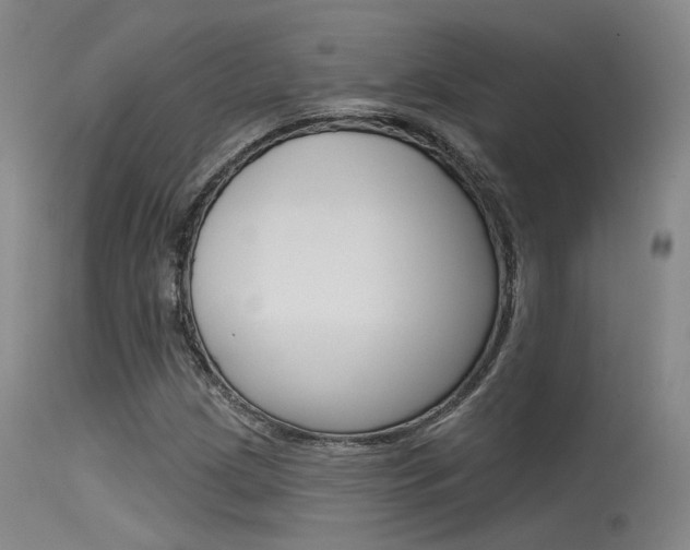 X0000115531209200911061119