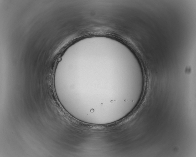 X0000115531211200911061119