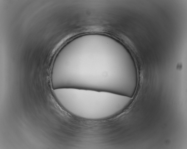 X0000115531212200911061119