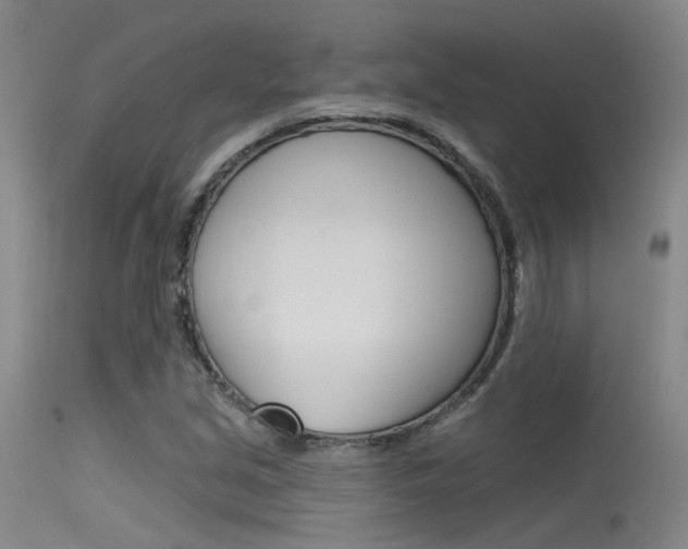 X0000115531213200911061119