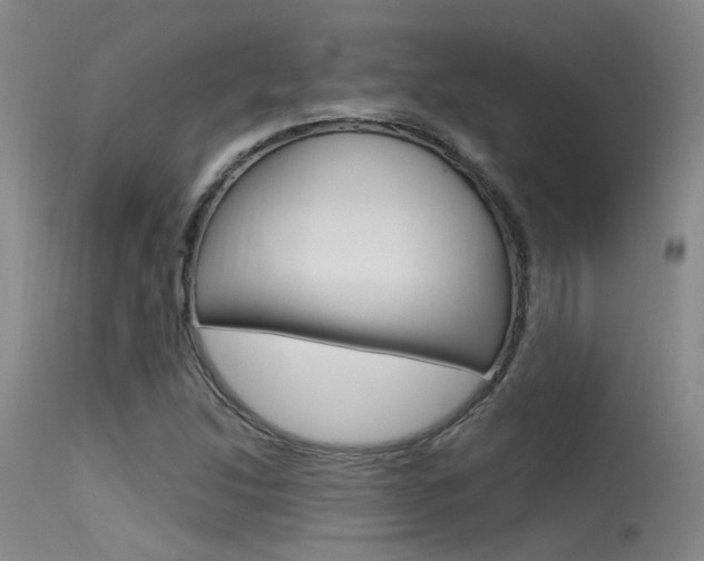 X0000115531214200911061119