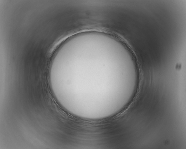 X0000115531215200911061119