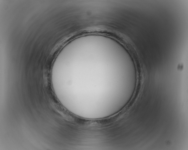 X0000115531217200911061119