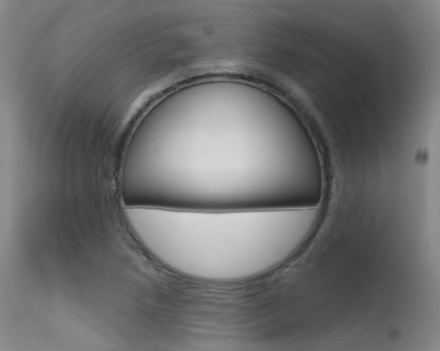 X0000115531218200911061119