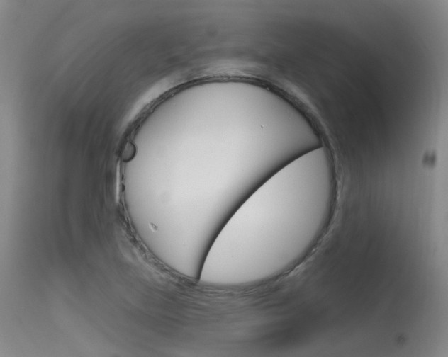 X0000115531219200911061119
