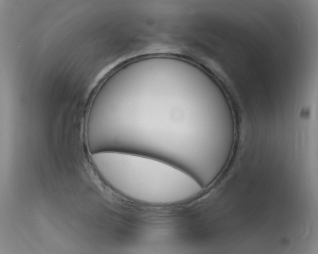 X0000115531220200911061119