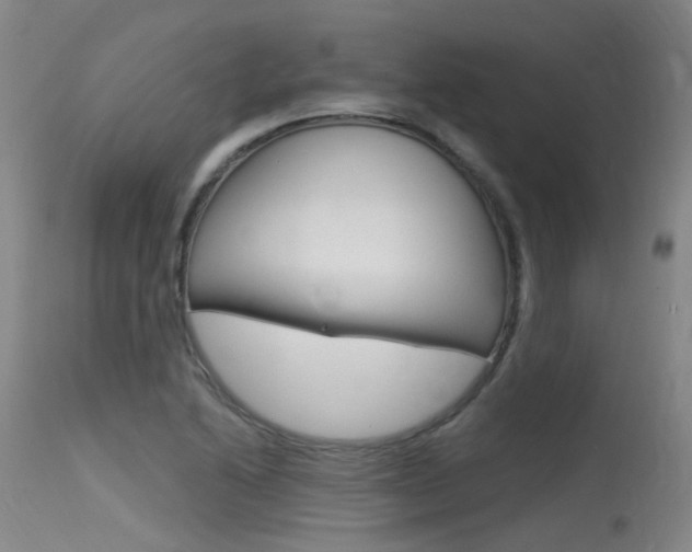 X0000115531222200911061119