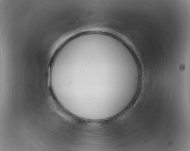 X0000115531223200911061119