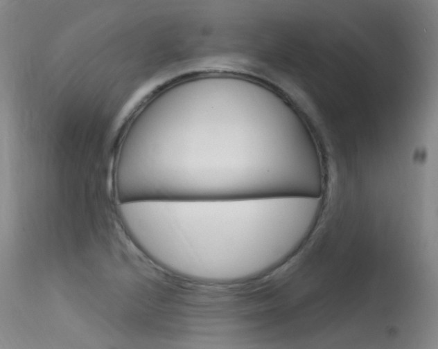 X0000115531224200911061119