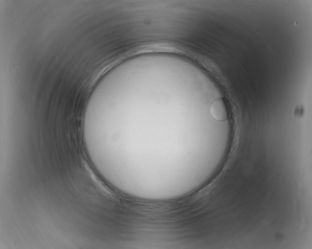 X0000115531225200911061119