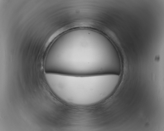 X0000115531226200911061119