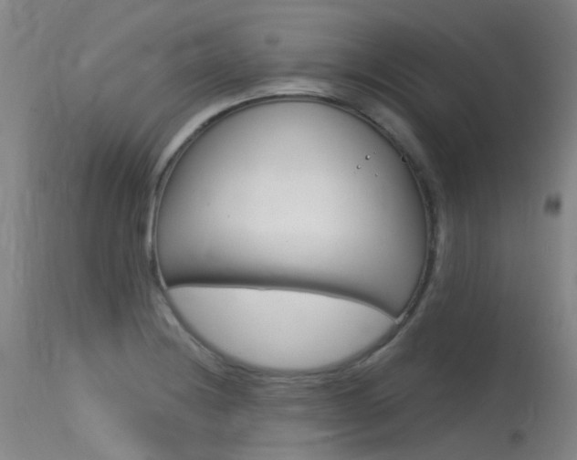 X0000115531228200911061119