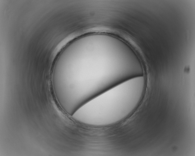 X0000115531229200911061119