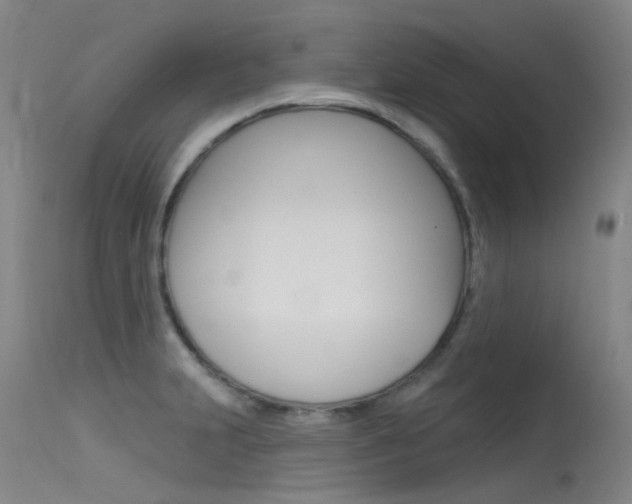X0000115531231200911061119