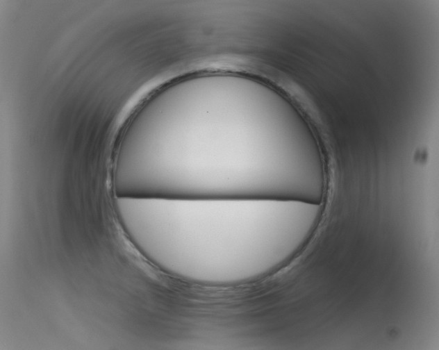 X0000115531232200911061119