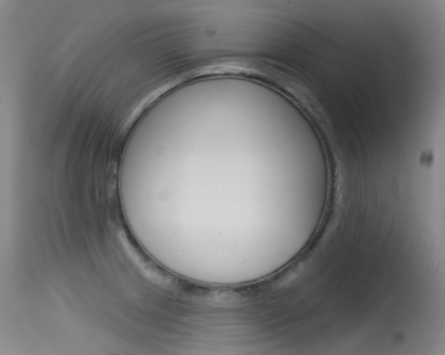 X0000115531233200911061119