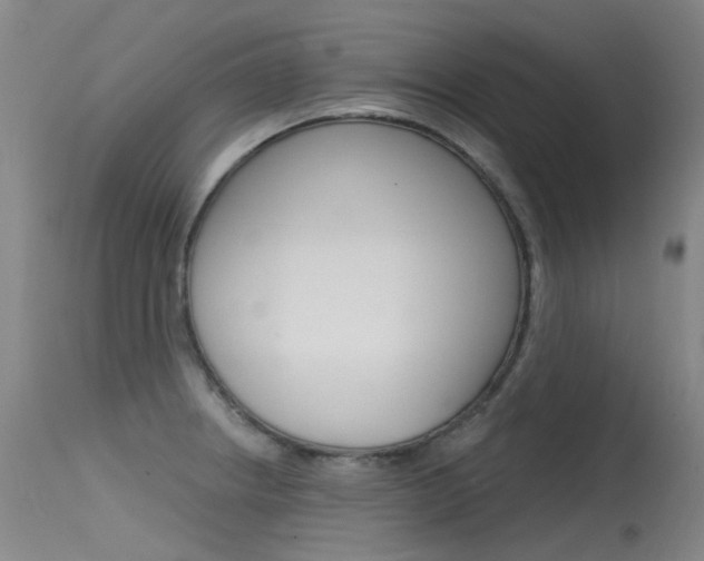 X0000115531234200911061119