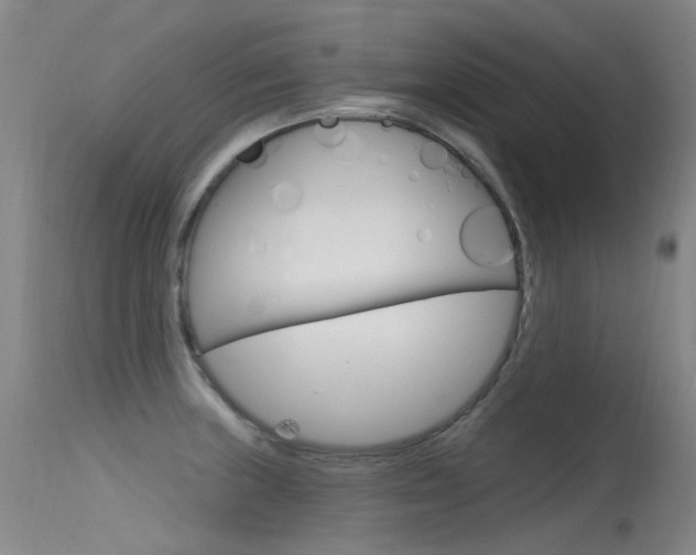 X0000115531235200911061120