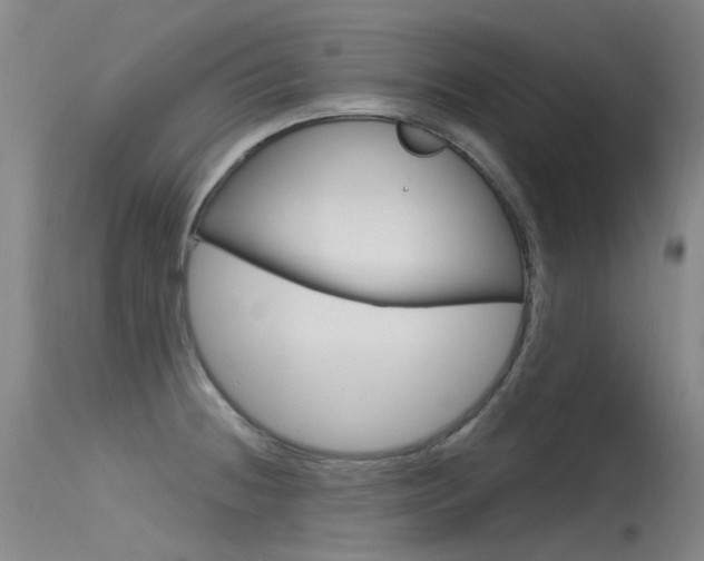 X0000115531236200911061120