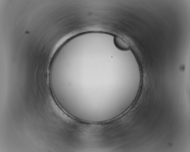 X0000115531238200911061120