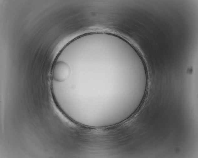 X0000115531239200911061120