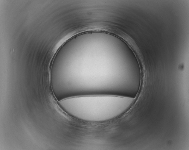 X0000115531242200911061120