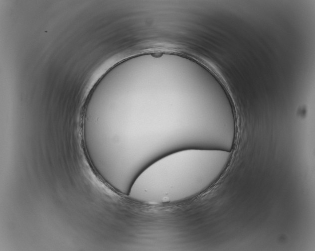 X0000115531243200911061120