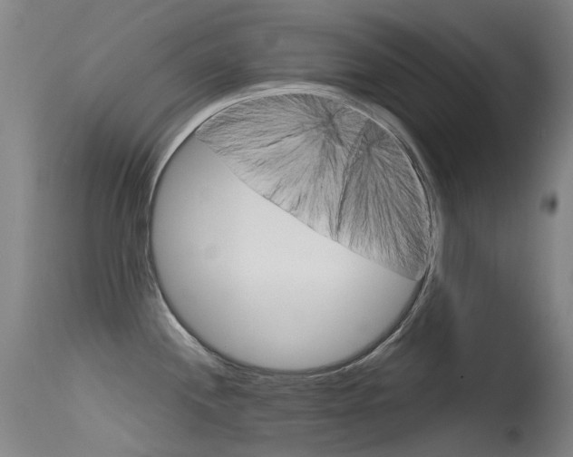 X0000115531244200911061120