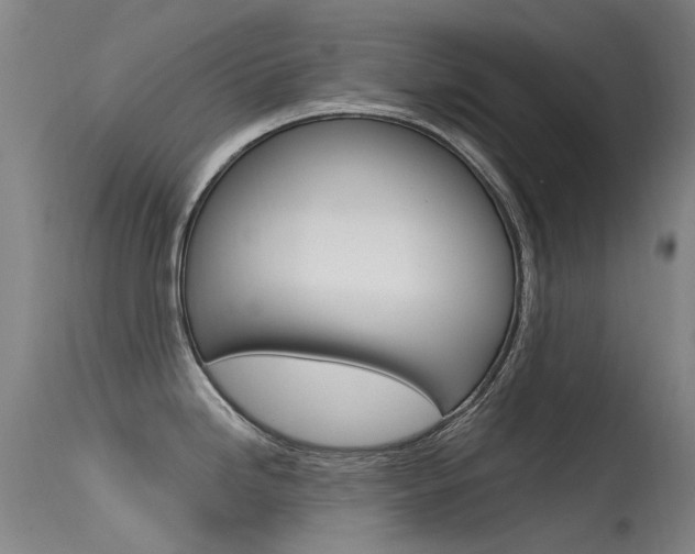 X0000115531246200911061120