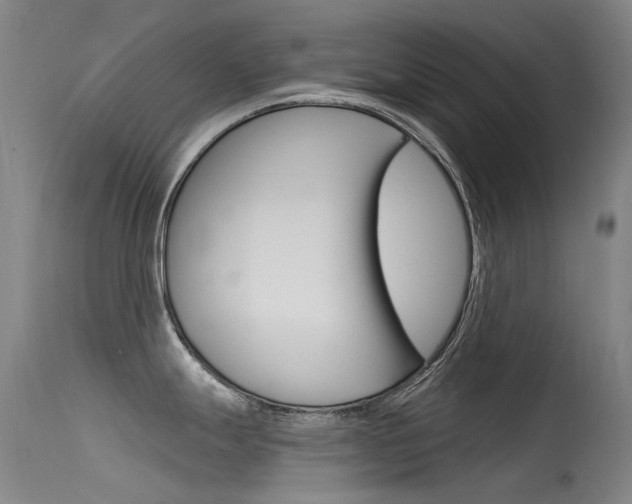 X0000115531247200911061120
