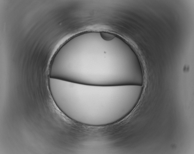 X0000115531248200911061120