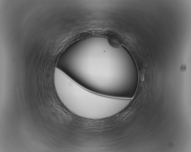 X0000115531252200911061119