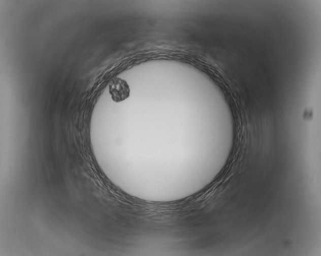 X0000115531253200911061119