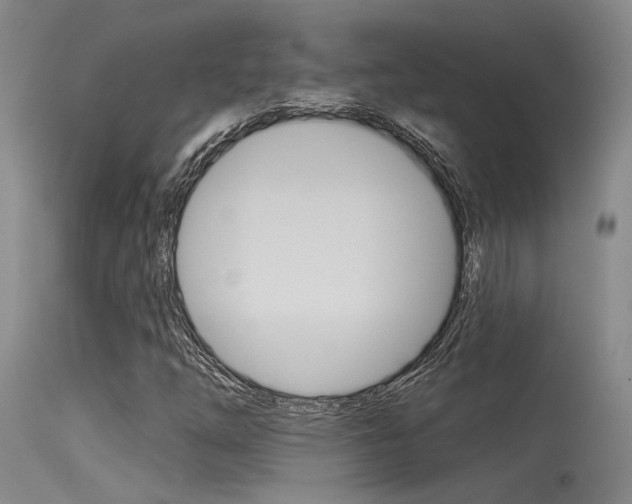 X0000115531254200911061119