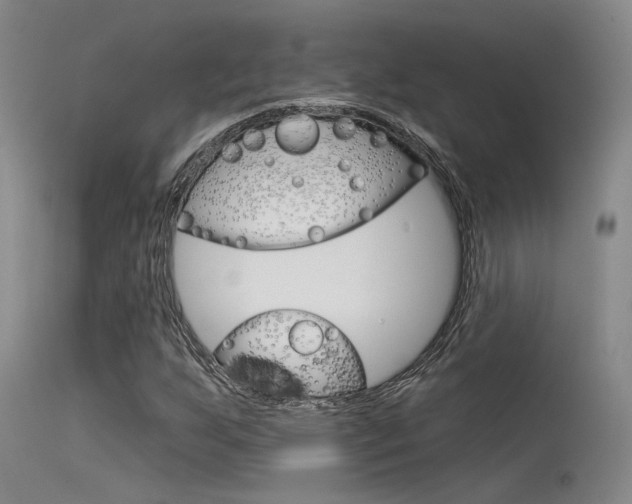 X0000115531255200911061119